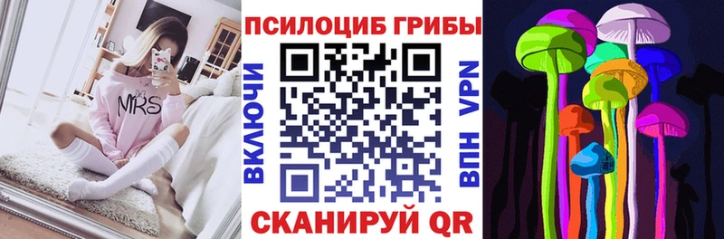 Псилоцибиновые грибы Psilocybine cubensis  купить наркотик  Богучар 
